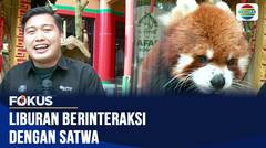 Liburan Berinteraksi dengan Satwa | Fokus