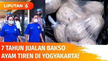 7 Tahun Jualan Bakso Ayam Tiren, Pasangan Suami Istri di Yogyakarta Ditangkap | Liputan 6
