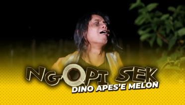 NGOPI SEK DINO APES E MELON