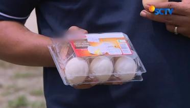 Heboh Peredaran Telur Ayam Arab di Swalayan - Liputan6 Petang