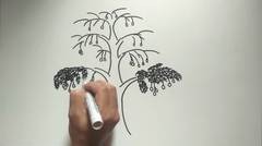Cara Menggambar Pohon Mangga Psikotes