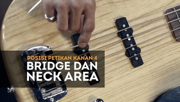 Belajar Bass Episode Mengenal Bridge Area dan Neck Area