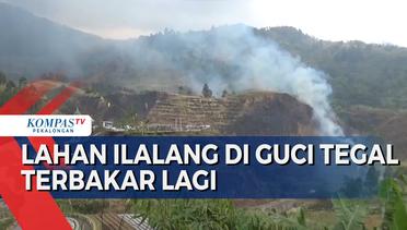 Kebakaran Lahan di Kawasan Wisata Guci Tegal, Api Meludeskan Semak Belukar