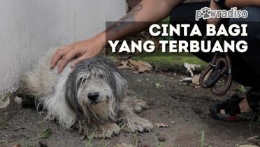 PAWRADISO : Anjing yang Diduga Dibuang ini Mengalami Kerusakan Pada Kelaminnya