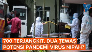 Potensi Pandemi Baru, Apa Itu Virus Nipah, Gejala, dan Cara Menanggulanginya?