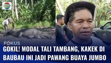 Heroik! Kakek di Baubau Tangkap Buaya Raksasa 4 Meter Bermodal Tali Tambang | Fokus