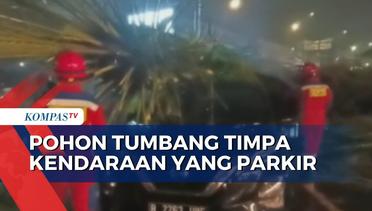 Pohon di Jalan Kalimalang Jakarta Tumbang, Timpa Mobil yang Sedang Parkir!