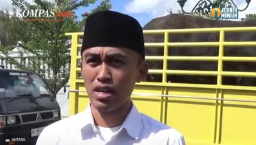 Sapi Kurban Jokowi Sudah di Yogya, Berat 1 Ton Lebih Bernama Black Boss