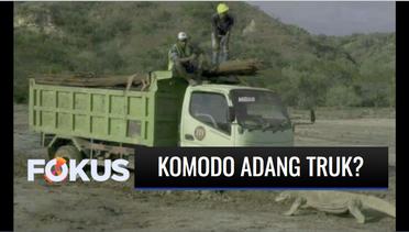 Seekor Komodo Mengadang Truk Proyek Geopark, Hoaks atau Fakta? | Fokus