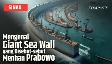 Apa Itu Giant Sea Wall yang Bakal Jadi Pagar Pulau Jawa? | SINAU