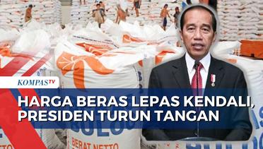 Harga Lepas Kendali, Presiden Jokowi Beri Bantuan 640 Ribu Ton Beras ke Rakyat