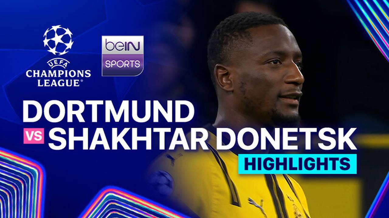 Dortmund vs Shakhtar Highlights UEFA Champions League 2024/
