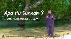 Apa itu Sunnah ? - Ust Muhammad E Syam
