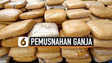 BNN Banten Musnahkan 301 Kg Ganja Asal Aceh
