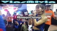 Challenge Accepted ! #MannequinChallenge #VMC