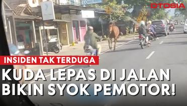 Viral! Pemotor Kena Apes Gara-gara Seekor Kuda Lepas di Tengah Jalan