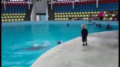 Lumba-Lumba Lucu Yang Bermain Dengan Anak Kecil