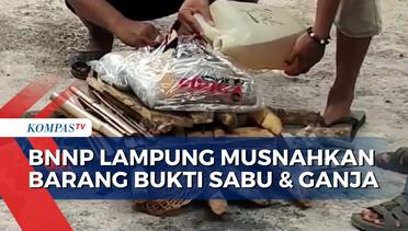 BNNP Lampung Bakar Barang Bukti 82,9 Gram Sabu dan 2 Kg Ganja Hasil Sitaan