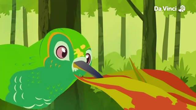 Wild Kratts Peacock | atelier-yuwa.ciao.jp