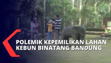 Ini Tanggapan Pengelola Kebun Binatang Bandung Soal Rencana Penyegelan Lahan oleh Pemkot Bandung
