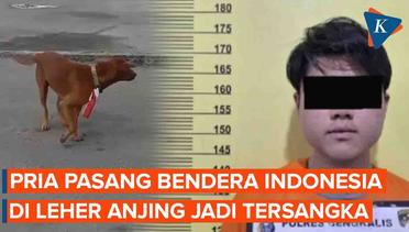 Pasang Bendera Merah Putih ke Leher Anjing, Pria asal Riau ini Jadi Tersangka