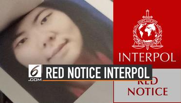 Pengertian red notice Interpol, Status Veronica Koman