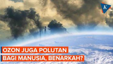 Tak Hanya Gas Pelindung, Ternyata Ozon Juga Polutan bagi Manusia
