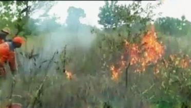 VIDEO: Puluhan Hektare Lahan di Kalteng Diduga Sengaja Dibakar