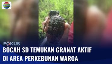 Heboh!! Bocah 5 Tahun di Kabupaten Mamasa Temukan Granat Aktif di Area Perkebunan | Fokus