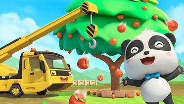Bayi Panda Menanam Pohon Apel