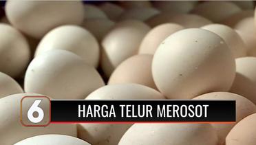 Pedagang Mengeluh Harga Telur Merosot hingga Rp19 Ribu per Kg | Liputan 6