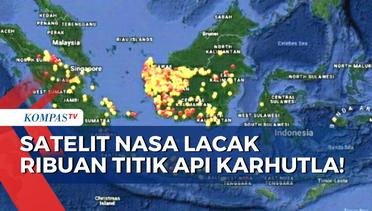 Kebakaran Lahan dan Hutan Semakin Meluas! 3 Satelit NASA Lacak 7.565 Titik Api Se-Indonesia!