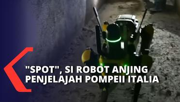 Taman Arkeologi Pompeii Kembangkan Robot Penjelajah Spot untuk Bantu Pelestarian Kota Romawi Kuno