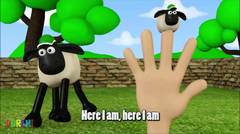 Shaun the sheep finger family | Nursery rhymes for children from Doremi Channel