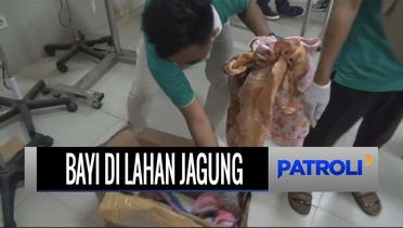 Geger Jasad Bayi 2 Minggu Ditemukan di Lahan Jagung