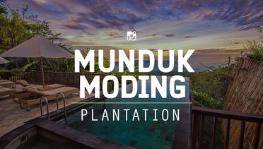Surga yang indah di utara Bali, Munduk Moding Plantation!