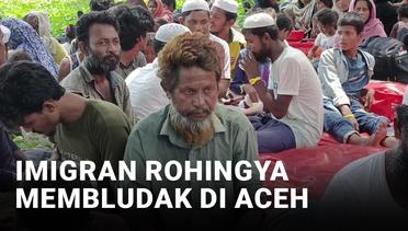 Imigran Rohingya Membludak, UNHCR Bingung