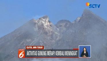 Pohon Disekitar Lereng Gunung Bromo Tumbang, Kenapa? - Liputan 6 Siang