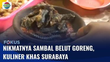 Pedas dan Gurih! Wajib Coba Sambal Belut Goreng Khas Surabaya! | Fokus
