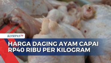 Harga Daging Ayam Mahal di Sejumlah Daerah, Omzet Pedagang Menurun!