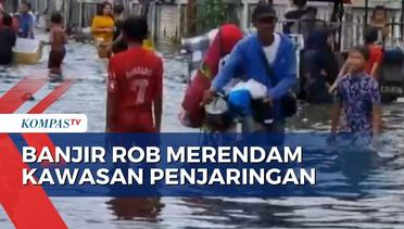 Banjir Rob Rendam Permukiman Warga di Kawasang Muara Angke, Ketinggian Air Hingga Satu Meter!