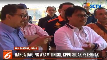 Harga Melambung, KPPU Bandung Sidak ke Peternakan Ayam - Liputan6 Terkini