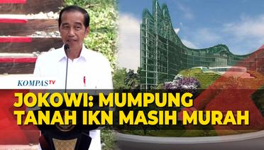 Jokowi Ajak Para CEO Beli Tanah di IKN: Mumpung Masih Murah