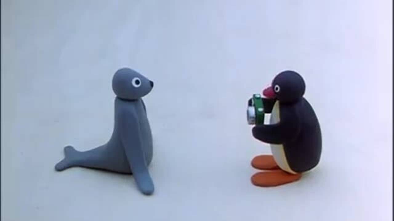 Pingu - Ep 37 - Pingu & the Camera (1986)