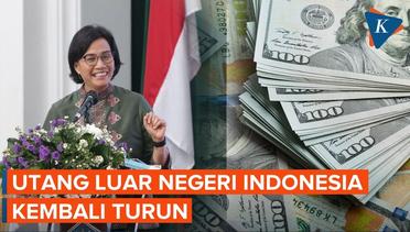 Utang Luar Negeri Indonesia Turun Pada Februari 2022