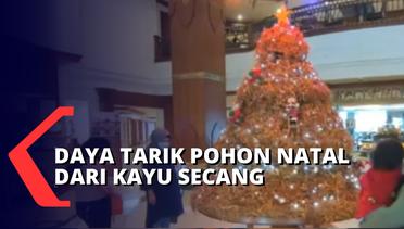 Unik! Pohon Natal dari Kayu Secang Menyebarkan Aroma Jamu