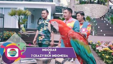 Wahh Ini Sih Irfan Hakim Banget!! Koleksi Burung, Kucing Dan Kuda Poni  Gilang Widya Pramana | Indosiar X 7 Crazy Rich Indonesia