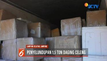 Petugas Gagalkan Penyelundupan 1,5 Ton Daging Celeng - Liputan 6 Terkini