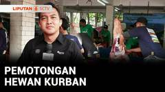 Pemotongan Hewan Kurban | Liputan 6
