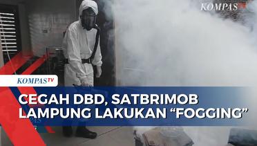 Upaya Cegah DBD, Satbrimob Lampung Lakukan 'Fogging' Gratis ke Permukiman Warga